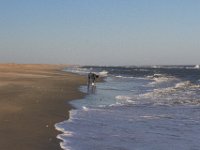 11-12-11-Assateague-2519