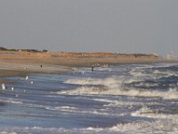 11-12-11-Assateague-2534