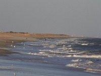 11-12-11-Assateague-2537