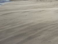 11-12-11-Assateague-2562