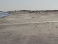 11-12-11-Assateague-2564