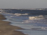 11-12-11-Assateague-2588