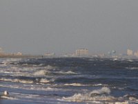 11-12-11-Assateague-2595