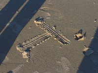 11-12-11-Assateague-2599