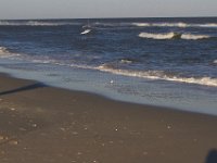 11-12-11-Assateague-2600