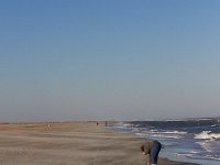 11-12-11-Assateague-2626