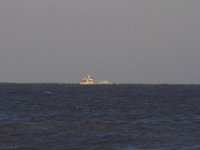11-12-11-Assateague-2649