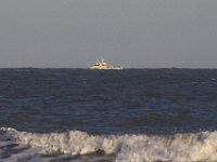 11-12-11-Assateague-2650