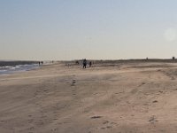 11-12-11-Assateague-2659