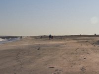 11-12-11-Assateague-2662