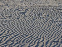 11-12-11-Assateague-2674