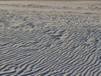 11-12-11-Assateague-2676
