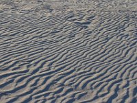 11-12-11-Assateague-2678
