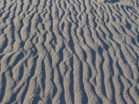 11-12-11-Assateague-2680