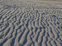 11-12-11-Assateague-2682