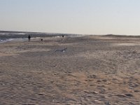11-12-11-Assateague-2687