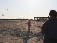 11-12-11-Assateague-2693