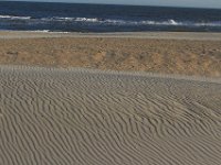 11-12-11-Assateague-2699