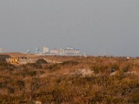 11-12-11-Assateague-2709