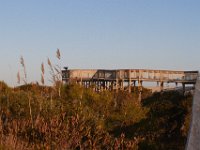 11-12-11-Assateague-2710