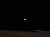 11-12-11-Assateague-2722