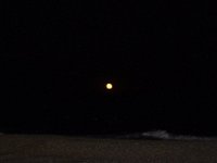 11-12-11-Assateague-2723