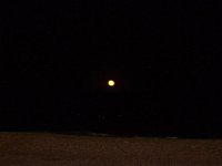 11-12-11-Assateague-2724