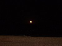 11-12-11-Assateague-2725