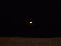 11-12-11-Assateague-2727