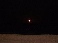 11-12-11-Assateague-2729