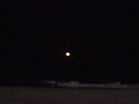11-12-11-Assateague-2730