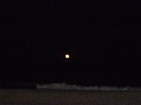 11-12-11-Assateague-2731