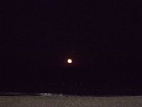 11-12-11-Assateague-2733