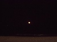 11-12-11-Assateague-2737