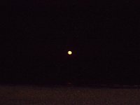 11-12-11-Assateague-2740