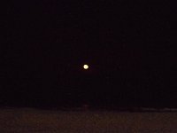 11-12-11-Assateague-2741