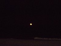 11-12-11-Assateague-2744