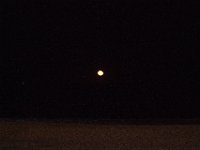 11-12-11-Assateague-2746