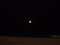11-12-11-Assateague-2749