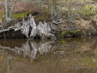 03-18-12-St Marys Lake-4045