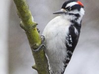03-18-12-St Marys Lake-4065