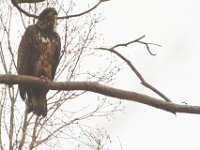 03-18-12-St Marys Lake-4099