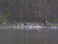 03-18-12-St Marys Lake-4126