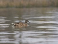 03-18-12-St Marys Lake-4143