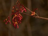 04-14-12-Rocky Gorge-5275