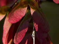 04-14-12-Rocky Gorge-5315