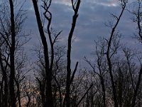 04-15-12-Piscataway-5454