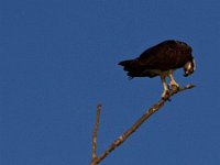 04-15-12-Piscataway-5556