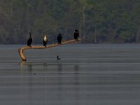04-15-12-Piscataway-5573