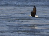 01-02-13-Conowingo Dam-5133